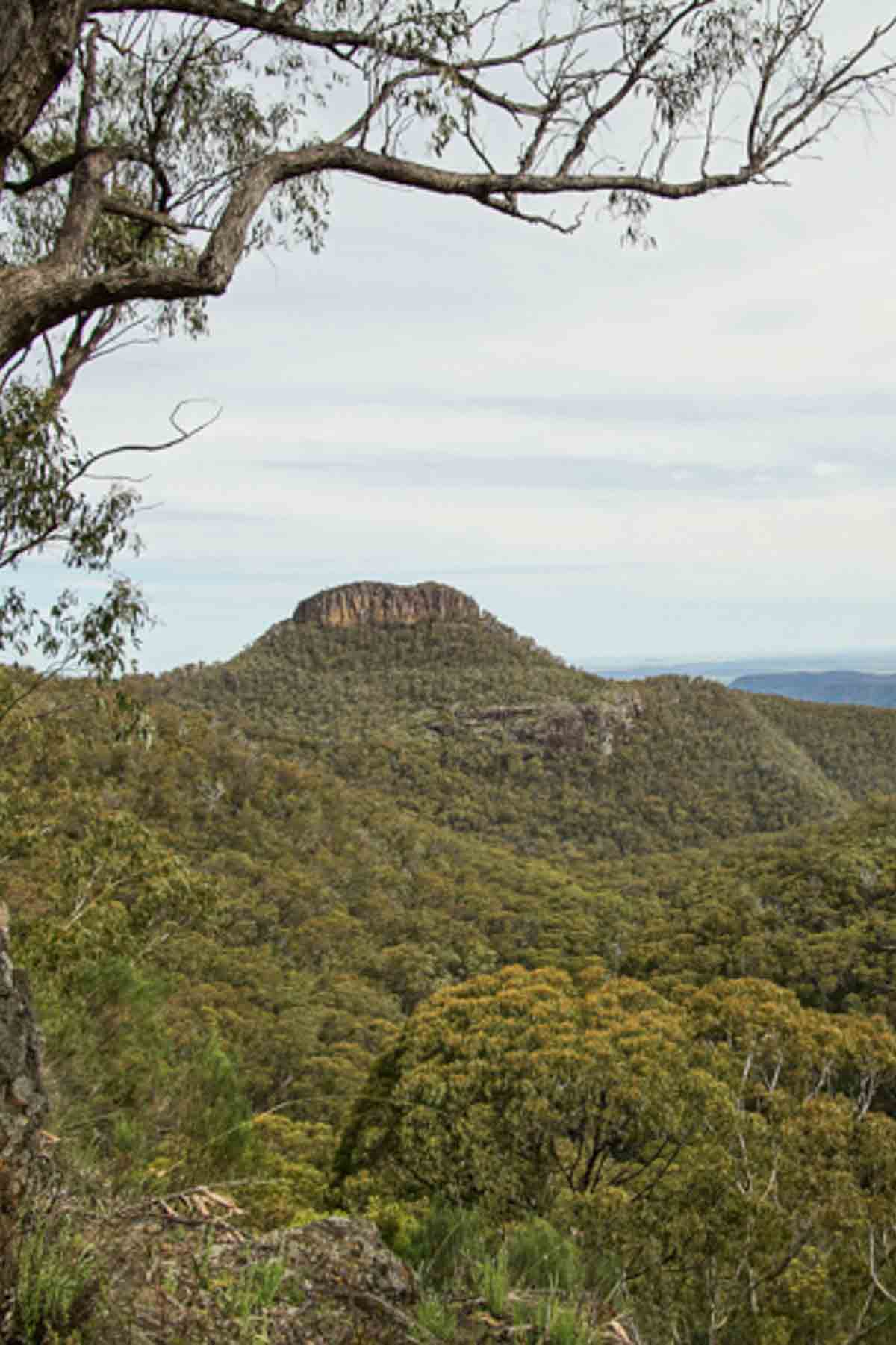 Bushwalking in Mt Kaputar National Park, NSW